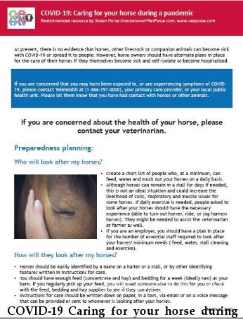 COVID-19 Caring for your horse during a pandemic